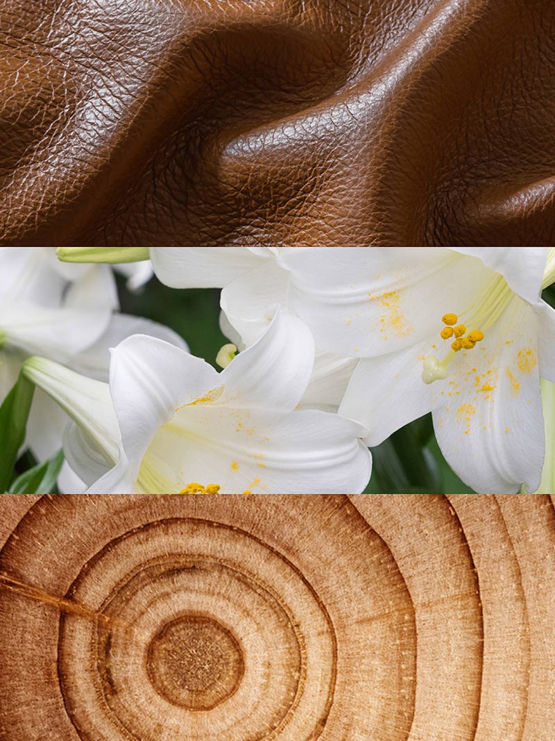 Immagine prodotto 3